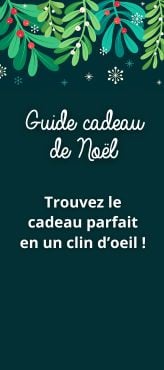 Guide cadeau de Noël